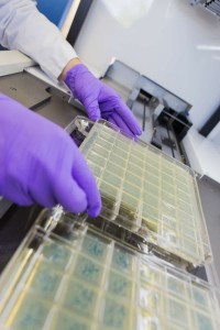 photo-rubrique_NOUVEAU