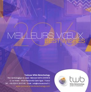 Voeux Twb2016 1