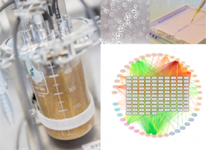 Capture d’écran 2016-03-30 à 21.51.47