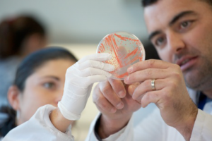 Capture d’écran 2016-03-30 à 22.21.48