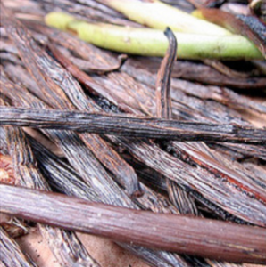 Capture d’écran 2016-03-30 à 22.30.43