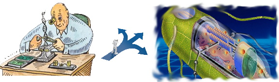 Contenu Newsletter 10_FR+EN_2016-06-30.docx