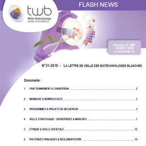 Flashnews21
