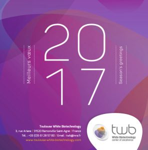 Carte De Voeux Twb 2017 1