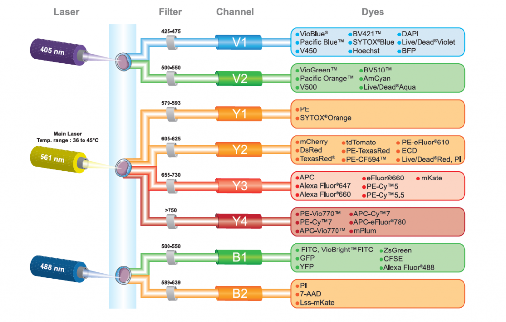 schema-cytometre
