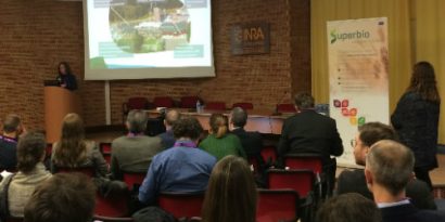 Superbio Jan2017 B 1