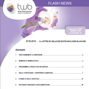 Flashnews25