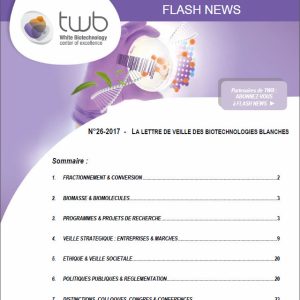 Flashnews Twb 26