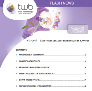 Flashnews Twb 28