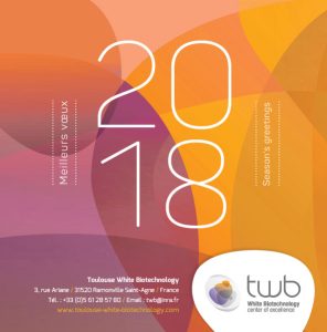 Carte De Voeux Twb 2018 Mail