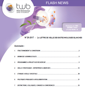 Flashnews29