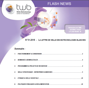 Flashnews Twb 31