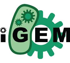 Igem Logo 1