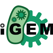 Igem Logo