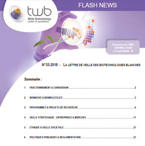Flashnews Twb 33