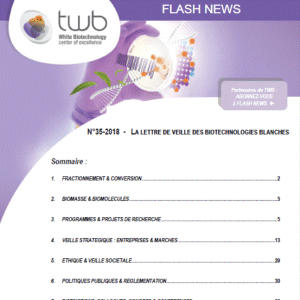 Flashnews 35