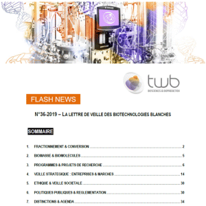 Flashnews 36