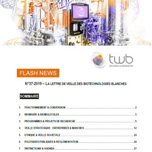 Flashnews Twb 37