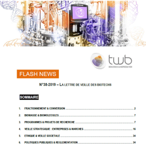 Flashnews 38