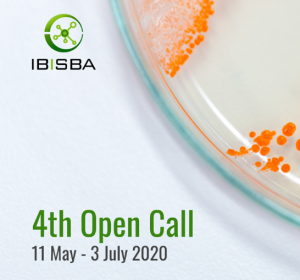 Image 4thopencall Ibisba Copie