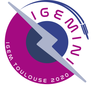 Igemini Couleur 2 3