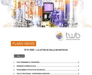 Flashnews Twb41