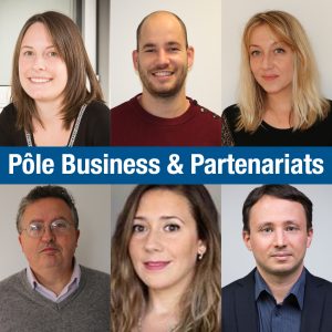 Miniature Pole Bp