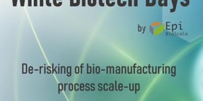 Gris Et Carre Jaune Avocat Et Droit Logo