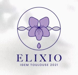 Logo Elixio Igem Toulouse 2021 Miniature 3