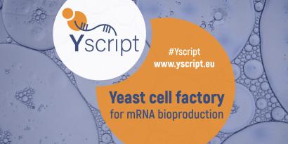 Yscript Kick Off Graphic 3