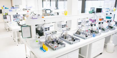 7e2a8779 Original Scaled 8