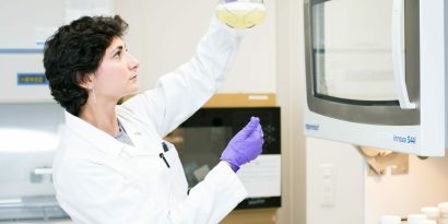 7e2a9213 Original Scaled E1680099604572