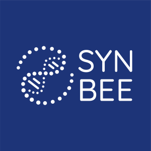 Logo Synbee Square 11