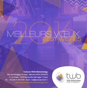 voeux-TWB2016