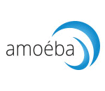 amoeba