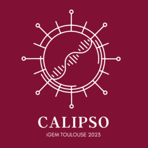 Logo du projet CALIPSO - IGEM 2023