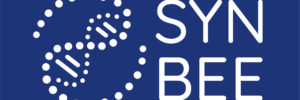 Logo SYNBEE
